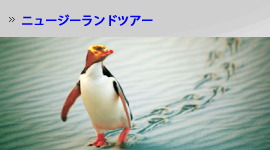 ニュージーランドツアー