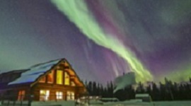 ホワイトホース