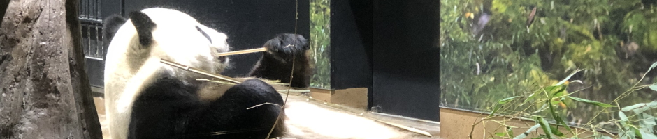 ぐるっとパスでパンダを見に行こう