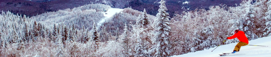 東カナダスキー